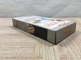 UF4051 Street Fighter II 2 Turbo Nintendo Super Famicom SNES Japan