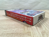 UF4075 Soccer 94 World Cup Edition Nintendo Super Famicom SNES Japan