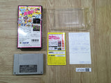UF4080 Super Momotaro Dentetsu DX Momotetsu Nintendo Super Famicom SNES Japan