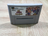 UF4081 Dai Bakushou Jinsei Gekijou Nintendo Super Famicom SNES Japan