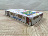 UF4081 Dai Bakushou Jinsei Gekijou Nintendo Super Famicom SNES Japan