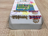 UF4081 Dai Bakushou Jinsei Gekijou Nintendo Super Famicom SNES Japan