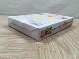 UF4090 Minna de Tamagotchi World Nintendo N64 Japan