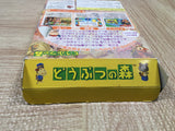 UF4091 Animal Crossing Doubutsuno Mori Nintendo N64 Japan