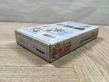 UF4225 Wonder Project J Boxed Nintendo Super Famicom SNES Japan