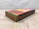 UF4232 Dragon's Magic Lair Boxed Nintendo Super Famicom SNES Japan
