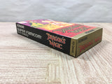 UF4232 Dragon's Magic Lair Boxed Nintendo Super Famicom SNES Japan