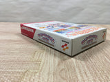 UF4281 Dance Dance Revolution Disney dancing museum Boxed Nintendo N64 Japan