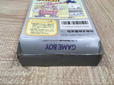 UF4285 Super Mario Land 2 6 Golden Coins Boxed Nintendo GameBoy Japan