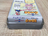 UF4285 Super Mario Land 2 6 Golden Coins Boxed Nintendo GameBoy Japan