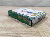 UF4295 Mario Golf GB Boxed Nintendo GameBoy Japan