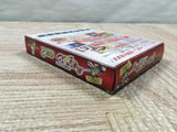 UF4297 Fushigi no Dungeon Furai no Shiren GB 2 Boxed Nintendo GameBoy Japan