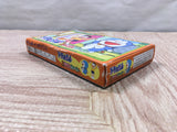 UF4298 Doraemon Dokodemo Walker Boxed Nintendo GameBoy Advance Japan