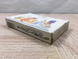 UF4301 Final Fantasy 3 Boxed Nintendo Famicom NES Japan