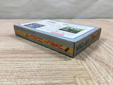 UF4302 Aighina no Yogen FromTheLegend of Balubalouk Boxed Famicom NES Japan