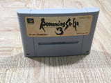 UF4317 Romancing Sa Ga 3 Boxed Nintendo Super Famicom SNES Japan