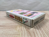 UF4322 Hanjuku Hero Boxed Nintendo Super Famicom SNES Japan