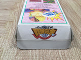 UF4322 Hanjuku Hero Boxed Nintendo Super Famicom SNES Japan