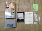 UF4329 Populous 2 Trials of the Olympian Gods Boxed Super Famicom SNES Japan