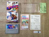 UF4353 Super Nazo Puyo Rulue no Roux Puyo Puyo Boxed Super Famicom SNES Japan