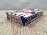 UF4353 Super Nazo Puyo Rulue no Roux Puyo Puyo Boxed Super Famicom SNES Japan