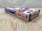 UF4353 Super Nazo Puyo Rulue no Roux Puyo Puyo Boxed Super Famicom SNES Japan