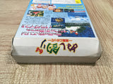 UF4391 Nushi Tsuri 64 Shiokaze ni notte Fishing Boxed N64 Japan