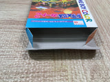 UF4402 Doraemon Kart 2 Boxed GameBoy Japan