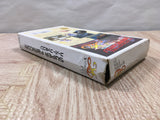 UF4443 Ys III 3 Wanderers from Ys Boxed Super Famicom SNES Japan