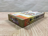 UF4450 Super Oozumou Nessen Dai Ichiban Sumo Boxed Super Famicom SNES Japan