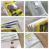 UF4514 Super Mario World Boxed Super Famicom SNES Japan