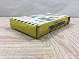 UF4514 Super Mario World Boxed Super Famicom SNES Japan