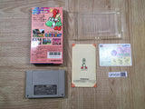 UF4520 Super Mario World 2 Yoshi's Island Boxed Super Famicom SNES Japan