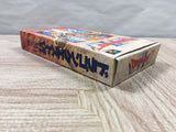 UF4532 Dragon Quest VI 6 Boxed Super Famicom SNES Japan
