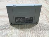 UF4554 Jikkyou Power Pro Wrestling 96 Max Voltage Boxed Super Famicom SNES Japan