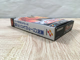 UF4554 Jikkyou Power Pro Wrestling 96 Max Voltage Boxed Super Famicom SNES Japan
