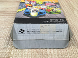 UF4563 F Zero Boxed Super Famicom SNES Japan