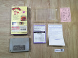 UF4571 Panel de Pon Boxed Nintendo Super Famicom SNES Japan