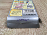 UF4601 Super Mario Land 2 6 Golden Coins Boxed Nintendo GameBoy Japan