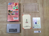 UF4613 Super Mario World 2 Yoshi's Island Boxed Super Famicom SNES Japan
