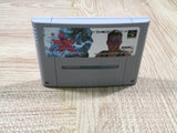 UF4658 FirePro JoshiAllStarDreamSlam ProWrestling Boxed Super Famicom SNES Japan