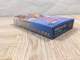 UF4658 FirePro JoshiAllStarDreamSlam ProWrestling Boxed Super Famicom SNES Japan