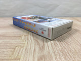 UF4658 FirePro JoshiAllStarDreamSlam ProWrestling Boxed Super Famicom SNES Japan