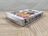 UF4689 Flying Dragon Hiryu no Ken Twin Boxed Nintendo N64 Japan