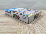 UF4689 Flying Dragon Hiryu no Ken Twin Boxed Nintendo N64 Japan