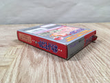 UF4699 Pokemon Red Boxed Nintendo GameBoy Japan