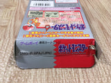 UF4699 Pokemon Red Boxed Nintendo GameBoy Japan