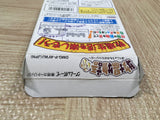 UF4704 Harvest Moon Bokujo Monogatari GB Boxed Nintendo GameBoy Japan