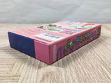 UF4717 Super Mario World 2 Yoshi's Island Boxed Super Famicom SNES Japan