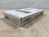 UF4734 Final Fantasy 5 V Boxed Nintendo Super Famicom SNES Japan